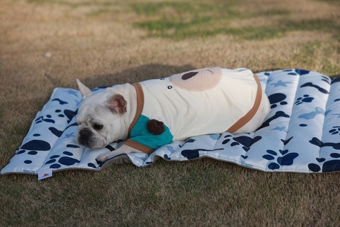 Pet mats